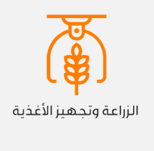 شركة تصميم مواقع انترنت فى مصر